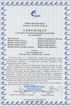 CLC 551-3353/09-265 Food supplement Topinambur powder, 75 g