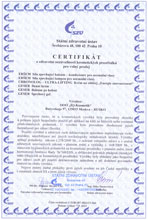 CTZB 187-2023/11-266 Food supplement Topinambur powder, 75 g